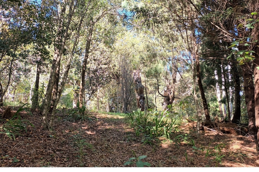 3 Bedroom Property for Sale in Hogsback Eastern Cape